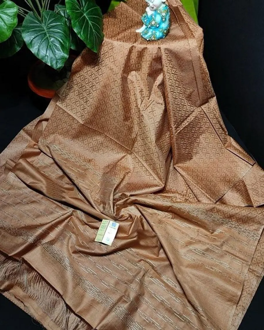 Luxurious Katan Silk Saree with Intricate Self-Weaving
